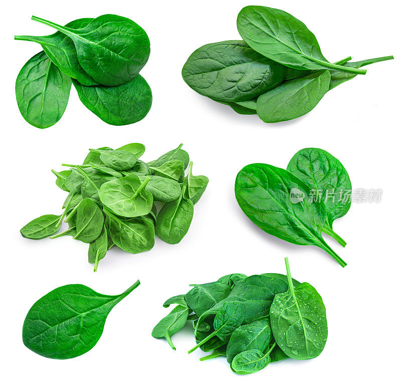 Spinach  leaves collection. Fresh spinach isolated  on white background. Flat lay. Food Set. Pattern